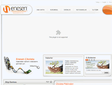 Tablet Screenshot of enesen.com.tr